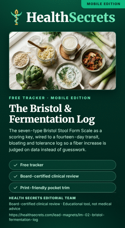 The Bristol & Fermentation Log