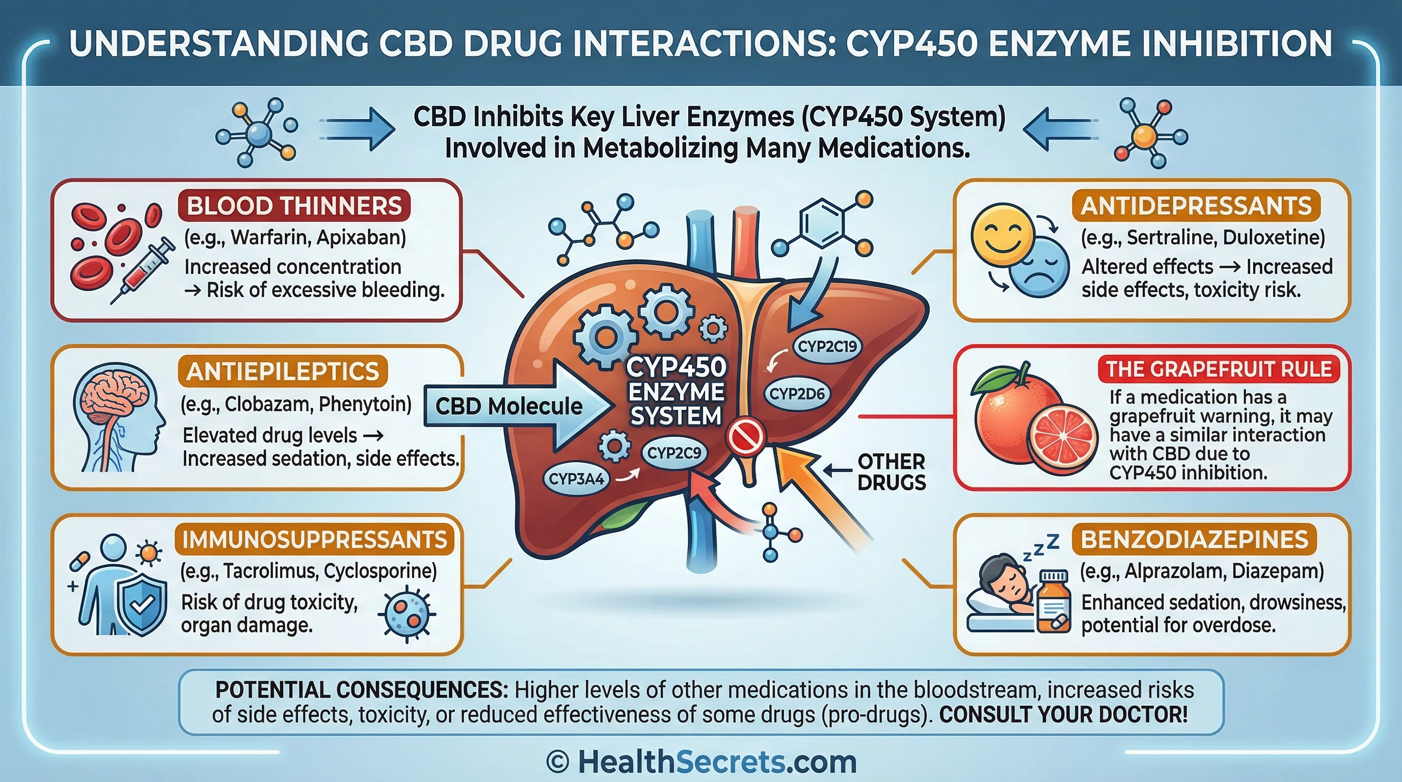 Infographic showing CBD drug interactions through CYP450 liver enzyme inhibition with key medication categories