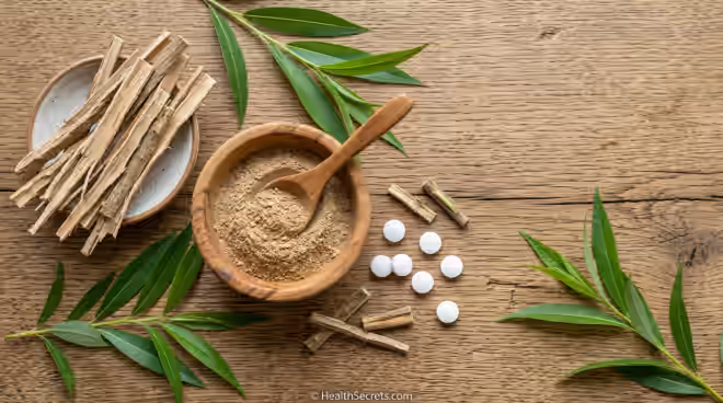 White willow bark strips and powder compared to aspirin tablets as natural pain relief alternative