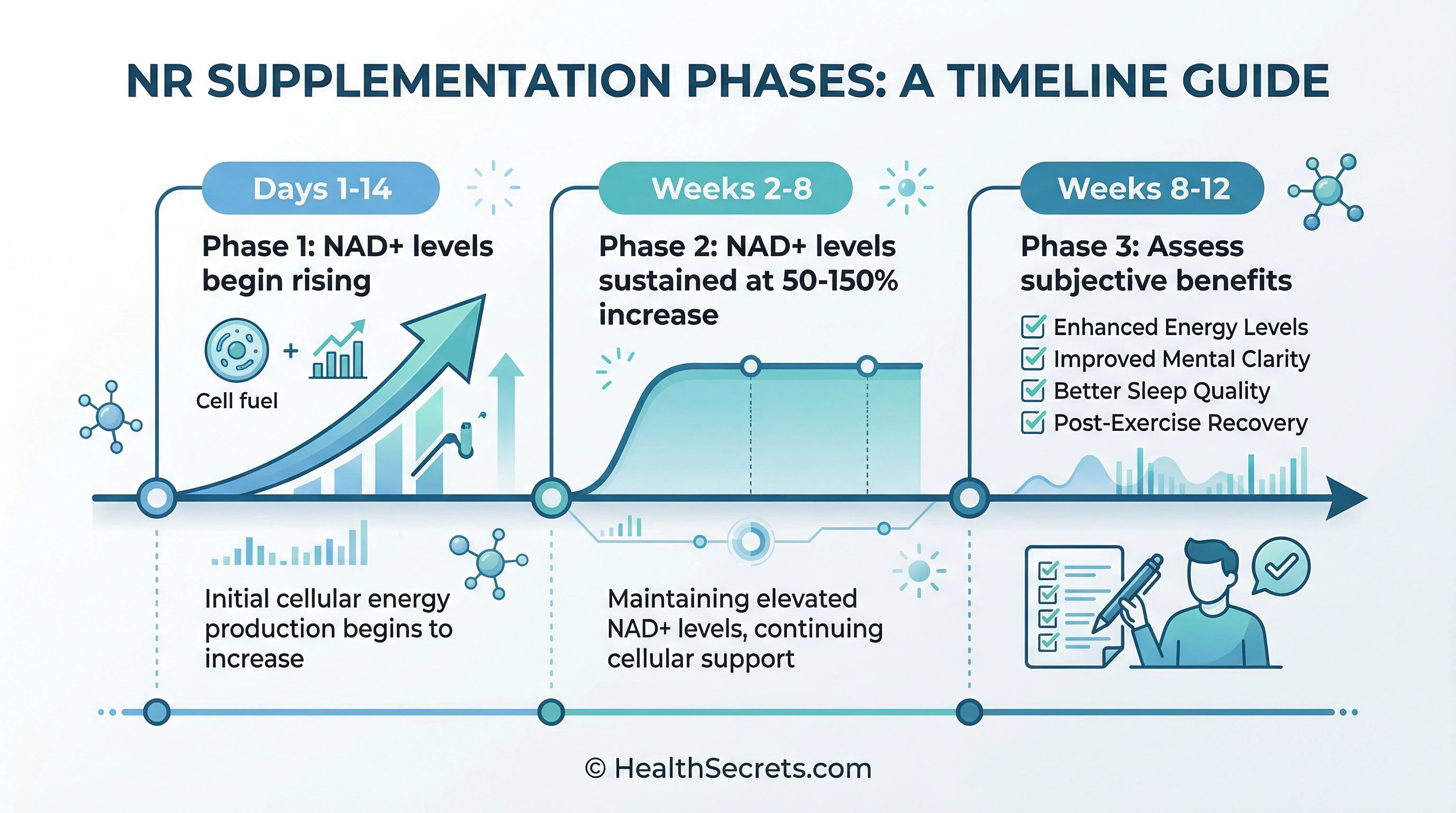 Timeline showing nicotinamide riboside supplementation phases from initial NAD+ increase to benefit assessment