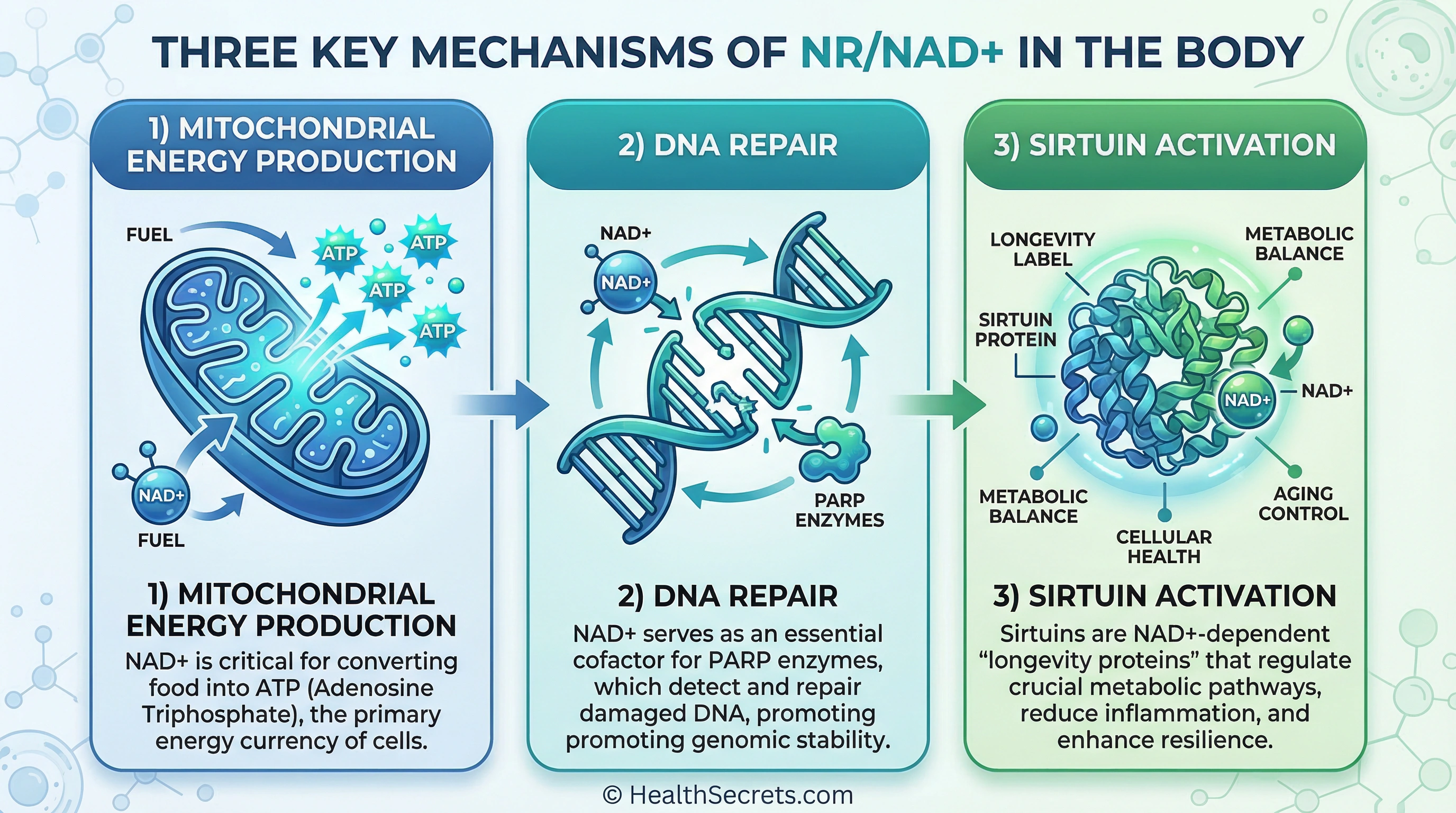 Three key mechanisms of nicotinamide riboside NAD+ boosting including mitochondrial energy DNA repair and sirtuin activation