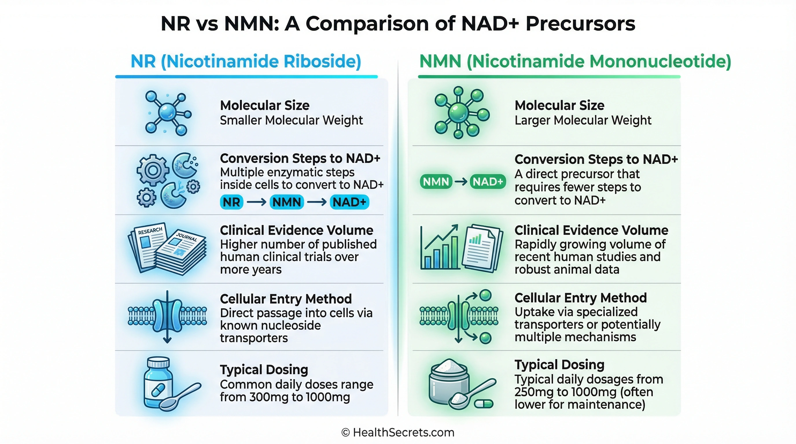 Side by side comparison of nicotinamide riboside NR versus NMN NAD+ precursors