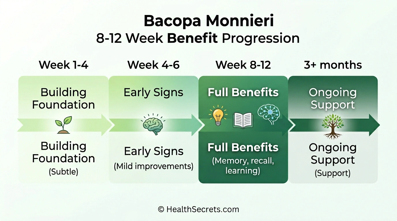 Timeline showing bacopa monnieri takes 8 to 12 weeks of consistent daily use for full memory and cognitive benefits