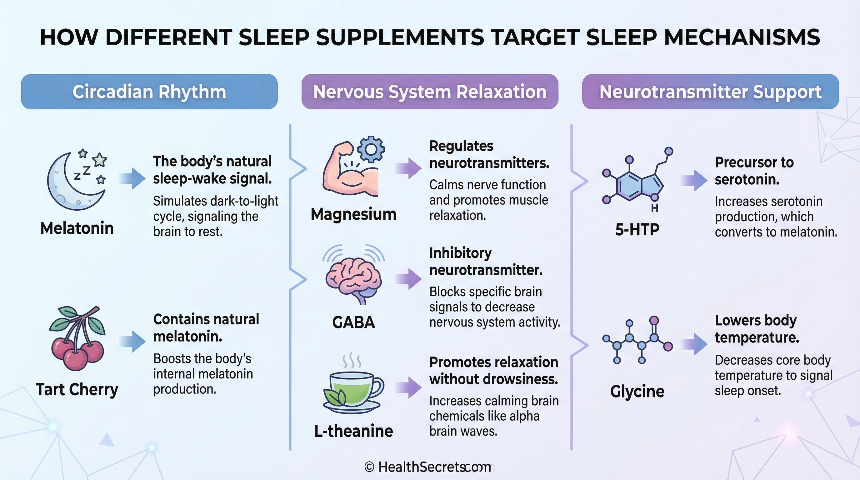 Infographic showing how different sleep supplements target circadian rhythm nervous system relaxation and neurotransmitter support