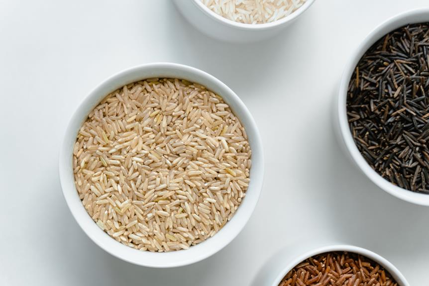 Dependable Dietary Fiber: A Key Player in Gut Health 2024